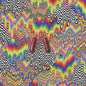 Handmade red grow dinosaur pill earrings!